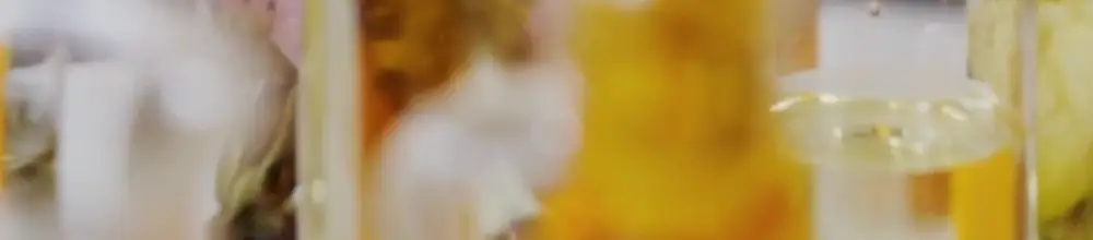 [고발향/대용량 니치샤쉐] 누다라 샤쉐 40g 3종 상세페이지 5